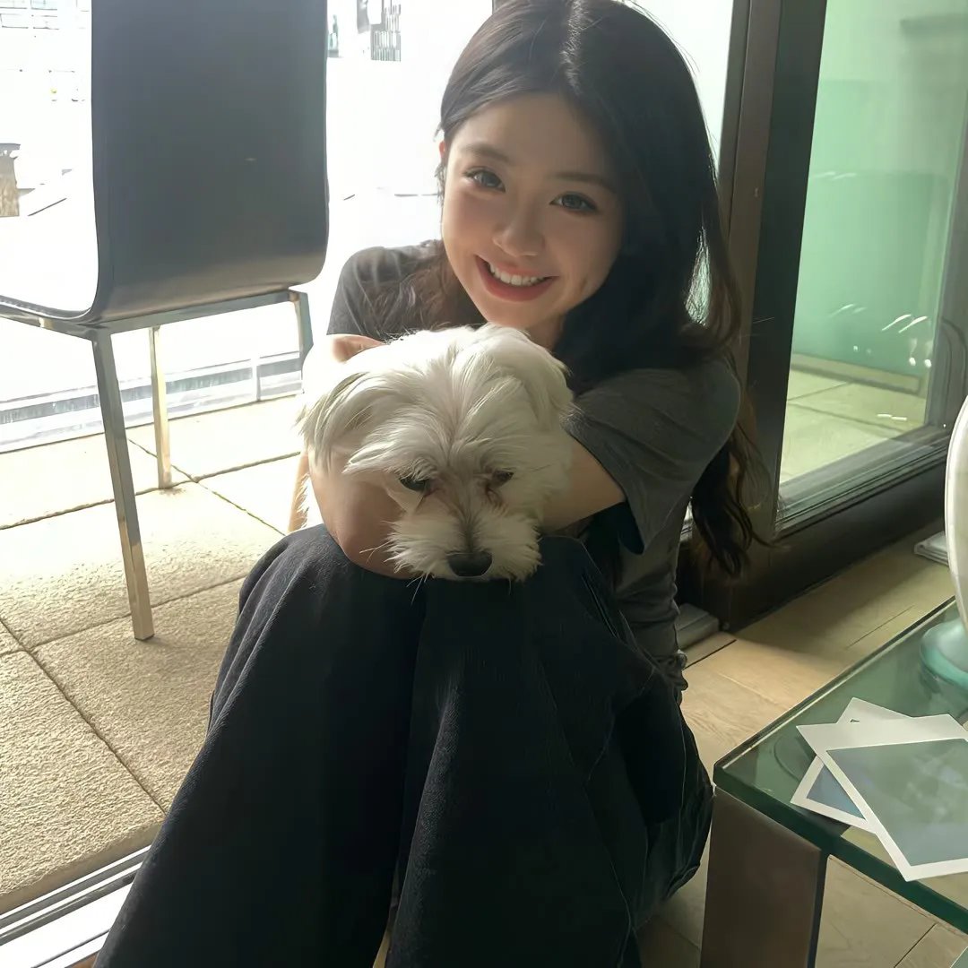 日本的西多妮海报